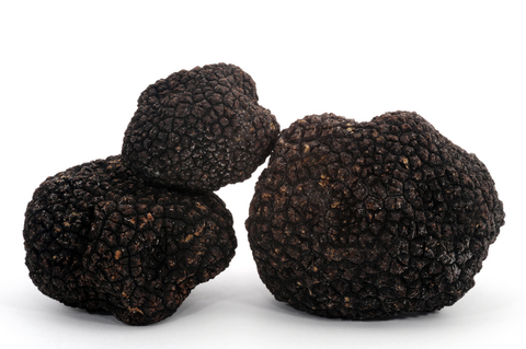 Burgundy truffle